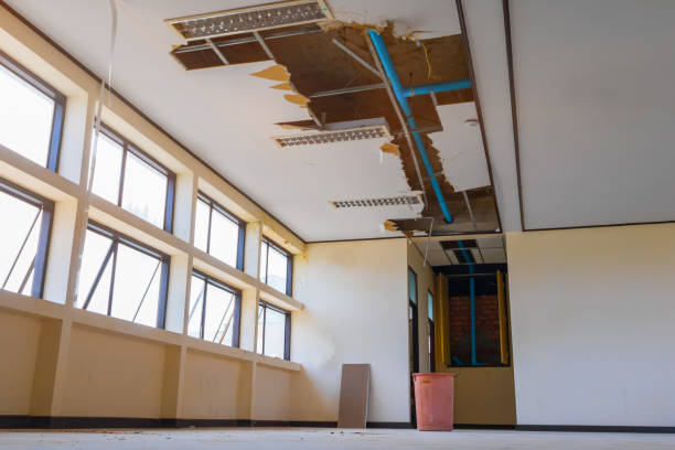 Best Water damage contractors near me  in Newton, NJ