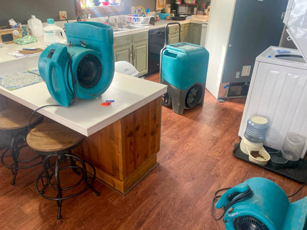 Best Flooded house restoration  in Newton, NJ