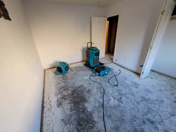Professional Water damage restoration in Newton, NJ
