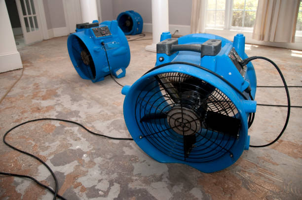 Best Emergency water damage restoration  in Newton, NJ