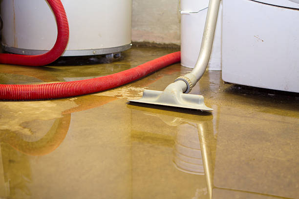 Best 24-hour water damage restoration  in Newton, NJ