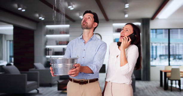 Best Local water damage restoration  in Newton, NJ